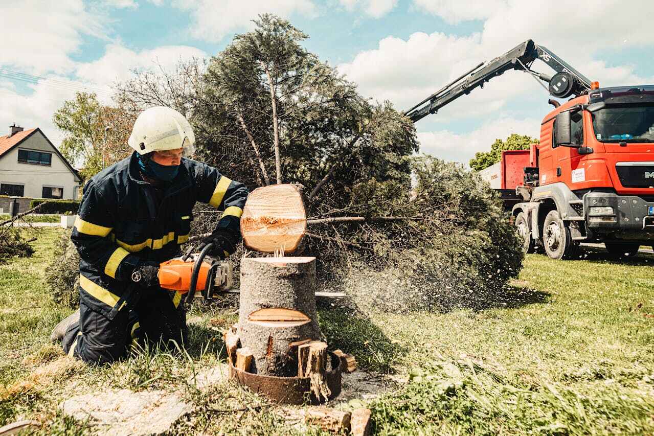 Crestview, FL Tree Service Company